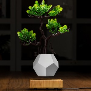 nieuwe houten basis magnetische levitatie bodem flyte lucht bonsai pot planter
